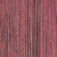 Pop - Palaos - Rencontre apres minuit