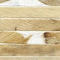 Oceania - Tobor - Au Plus Pres de la Nature