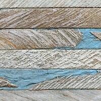 Oceania - Tobor - Harmonie Vegetale