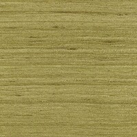 Kali - Goa - Le Jardin Des Hesperides