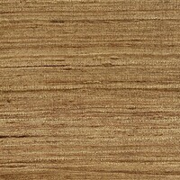 Kali - Goa - L'empreinte de L'ile