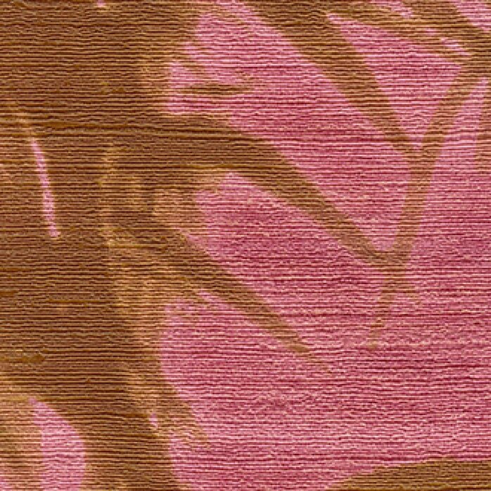 Élitis Talamone - Terra promessa - Promenons nous dans les bois