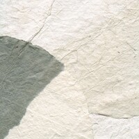 Epure - Nara - Ombres Portees