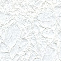 Washi - Splendeurs D'une Favorite - Eloge De La Bienveillance