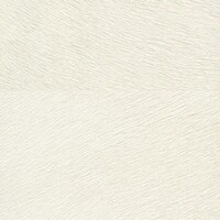 Indomptee - Movida - Premiers Instants