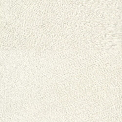 Élitis Indomptee - Movida - Premiers Instants Élitis Indomptee - Movida - Premiers Instants