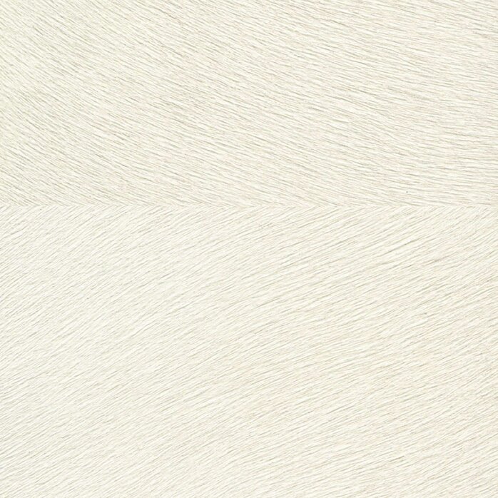 Élitis Memoires - Movida - Premiers Instants