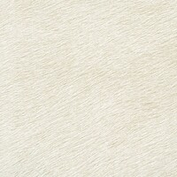 Indomptee - Movida - Dialogues Silencieux