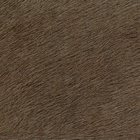 Memoires - Movida - Son Meilleur Trophee