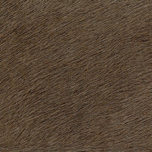 Élitis Memoires - Movida - Son Meilleur Trophee Élitis Memoires - Movida - Son Meilleur Trophee