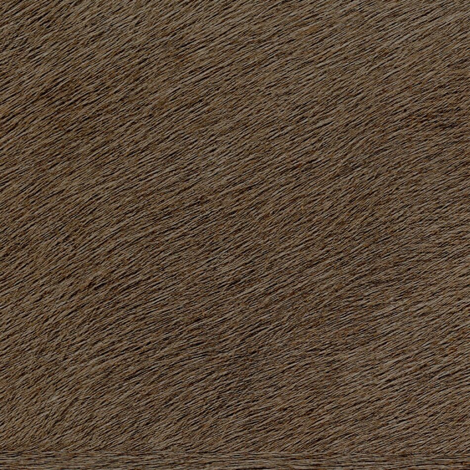 Élitis Memoires - Movida - Son Meilleur Trophee Élitis Memoires - Movida - Son Meilleur Trophee