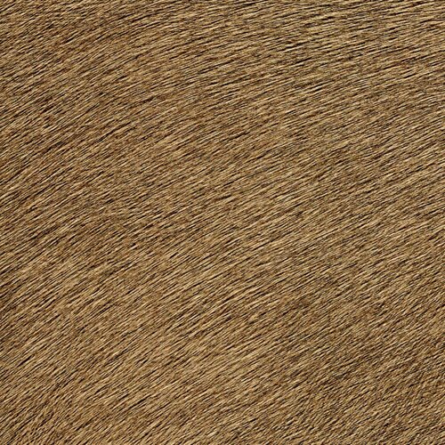 Élitis Indomptee - Movida - Conscient de sa Valeur Élitis Indomptee - Movida - Conscient de sa Valeur