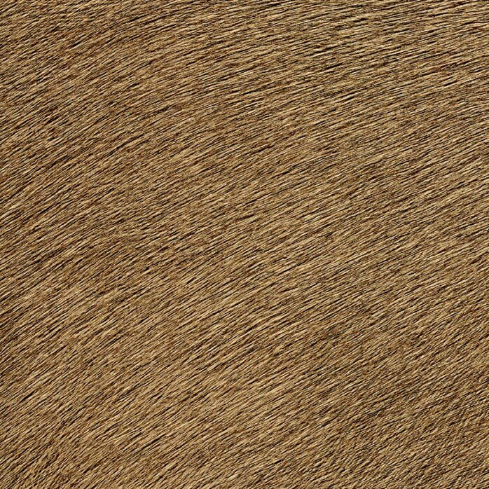 Élitis Memoires - Movida - Conscient de sa Valeur