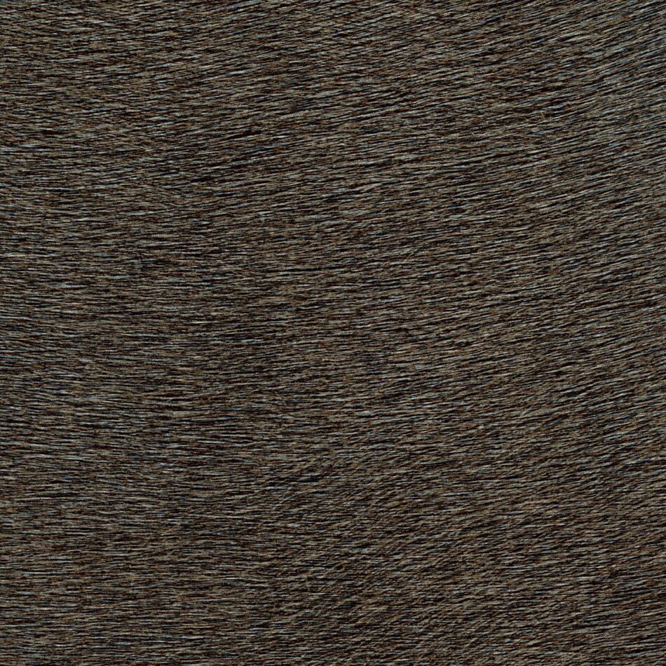 Élitis Indomptee - Movida - Essence Divine