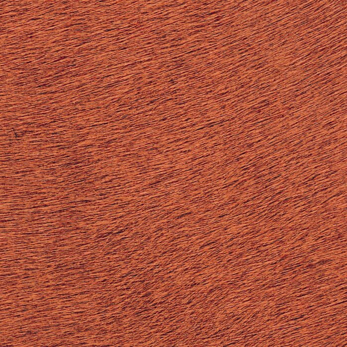 Élitis Indomptee - Movida - Terre de Feu Élitis Indomptee - Movida - Terre de Feu