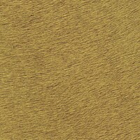 Indomptee - Movida - Captive Du Desert