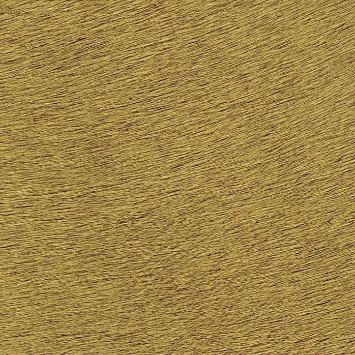 Élitis Indomptee - Movida - Captive Du Desert Élitis Indomptee - Movida - Captive Du Desert