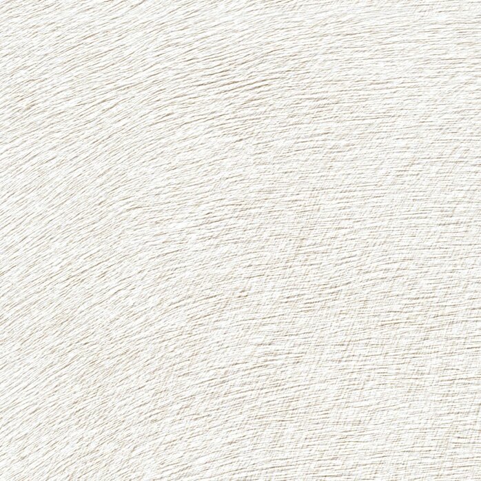 Élitis Indomptee - Movida - Premieres Lueurs Du Jour Élitis Indomptee - Movida - Premieres Lueurs Du Jour