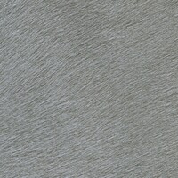 Memoires - Panthere - Son Plus Beau Trophe