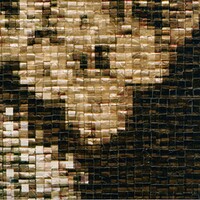 Parade - Luna - Luna