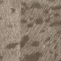 Memoires - Panthere - A Pas de Velours