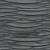 Geisha - Shibuya - Le Respect Des Regles