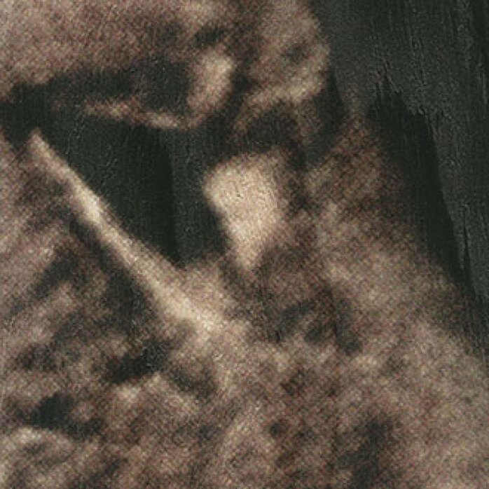 Élitis Memoires - King - The king Élitis Memoires - King - The king