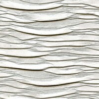 Geisha - Shibuya - L'ordre Et Le Calme