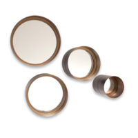 Frome Mirror - Set of 4 - Brown