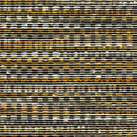 Osmanthus - Geloma - Golden Honey