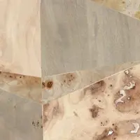 Bois Marbré Ecaille 81 Pierre