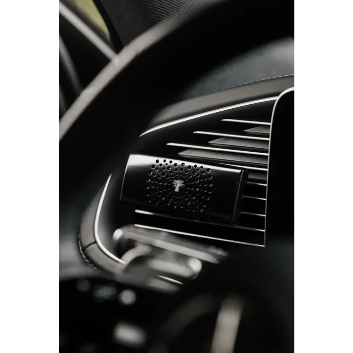 Baobab Car diffuser - Black Pearls Baobab Car diffuser - Black Pearls