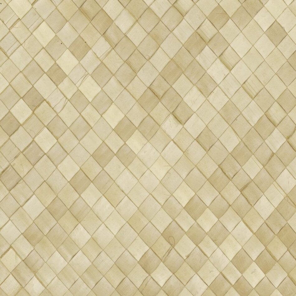 CMO Paris Buri CMO Paris Buri