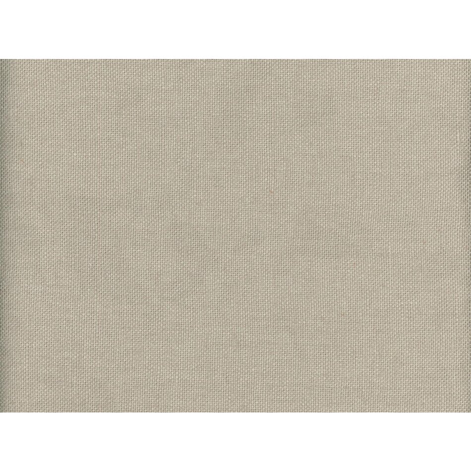 Andrew Martin Beagle Fossil Andrew Martin Beagle Fossil