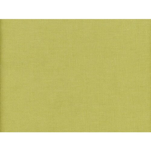 Andrew Martin Beagle Lizard Andrew Martin Beagle Lizard