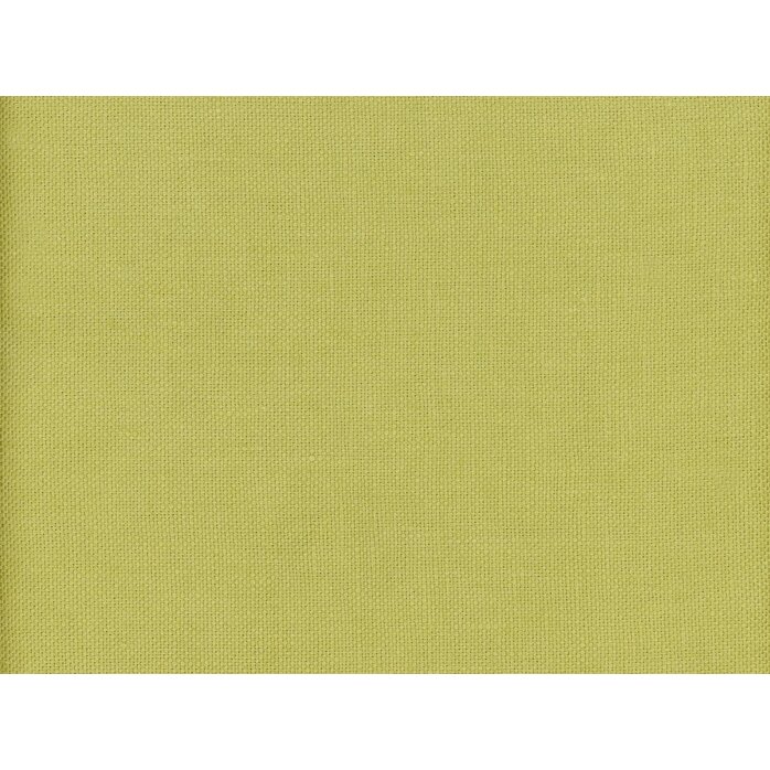 Andrew Martin Beagle Lizard Andrew Martin Beagle Lizard