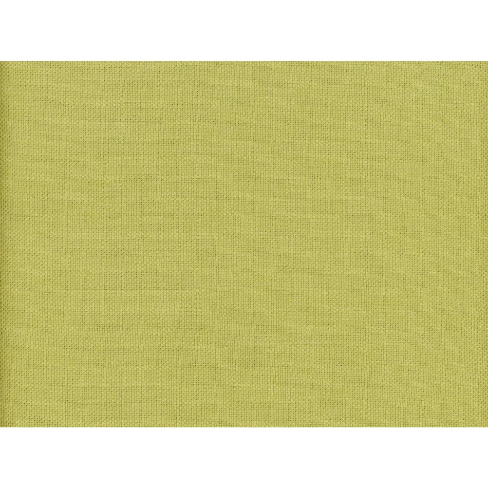 Andrew Martin Beagle Lizard Andrew Martin Beagle Lizard