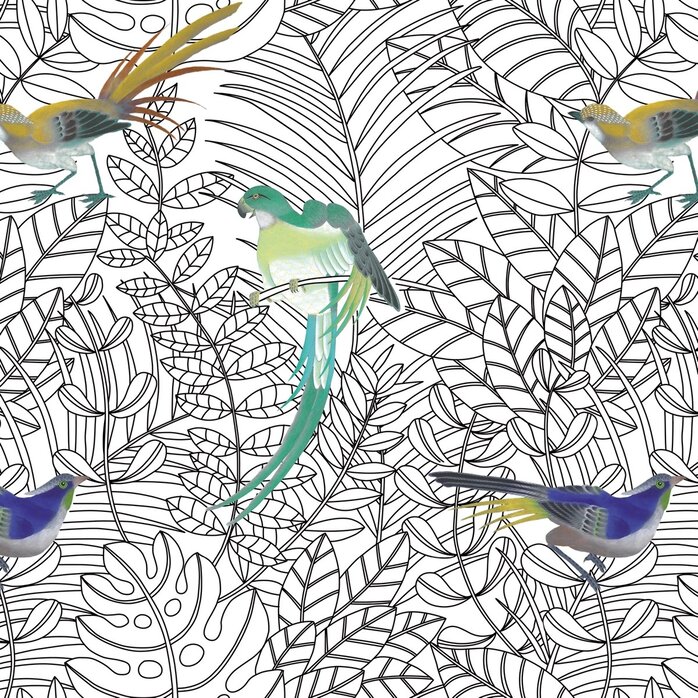 Nobilis Paris Nobilis Paris AMAZONE COS140