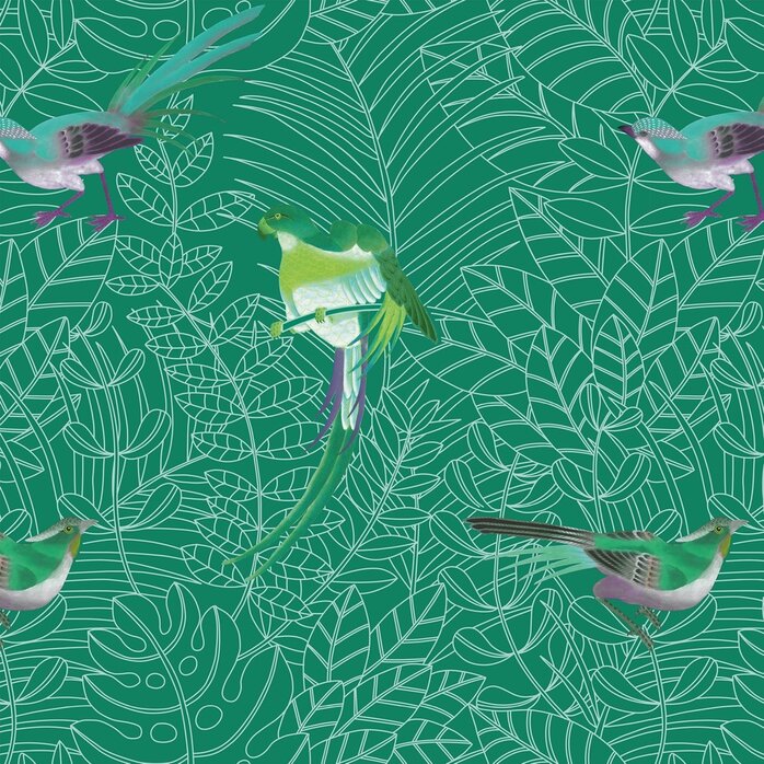 Nobilis Paris Nobilis Paris AMAZONE COS142