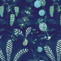 Nobilis Paris DAIQUIRI COS162