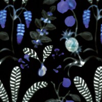 Nobilis Paris DAIQUIRI COS163