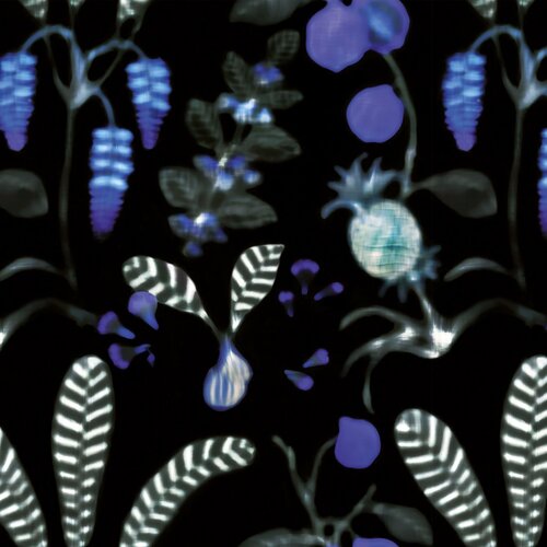 Nobilis Paris Nobilis Paris DAIQUIRI COS163 Nobilis Paris Nobilis Paris DAIQUIRI COS163