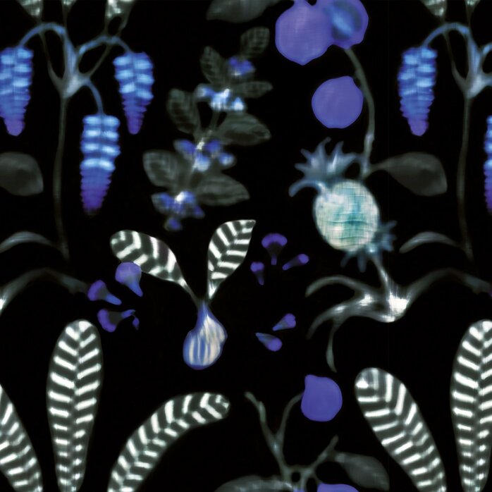 Nobilis Paris Nobilis Paris DAIQUIRI COS163