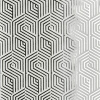 Nobilis Paris CHICAGO COS40