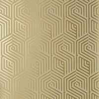 Nobilis Paris CHICAGO COS42