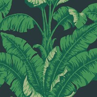 Nobilis Paris LA HAVANE COS82