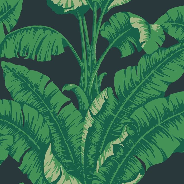 Nobilis Paris Nobilis Paris LA HAVANE COS82