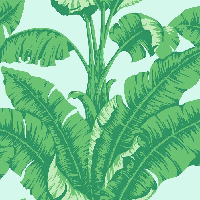 Nobilis Paris Nobilis Paris LA HAVANE COS83