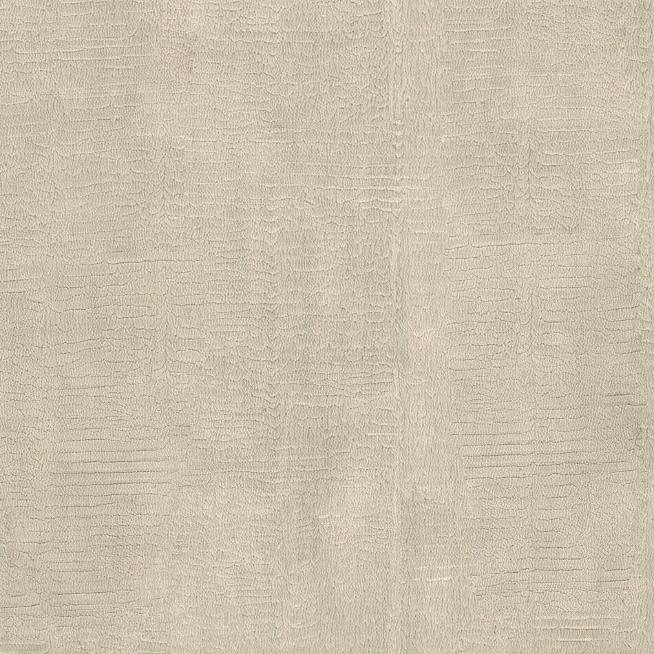 Nobilis Paris Nobilis Paris MAKO DPN10 Nobilis Paris Nobilis Paris MAKO DPN10