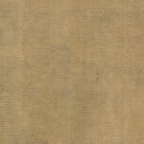 Nobilis Paris Nobilis Paris MAKO DPN12 Nobilis Paris Nobilis Paris MAKO DPN12